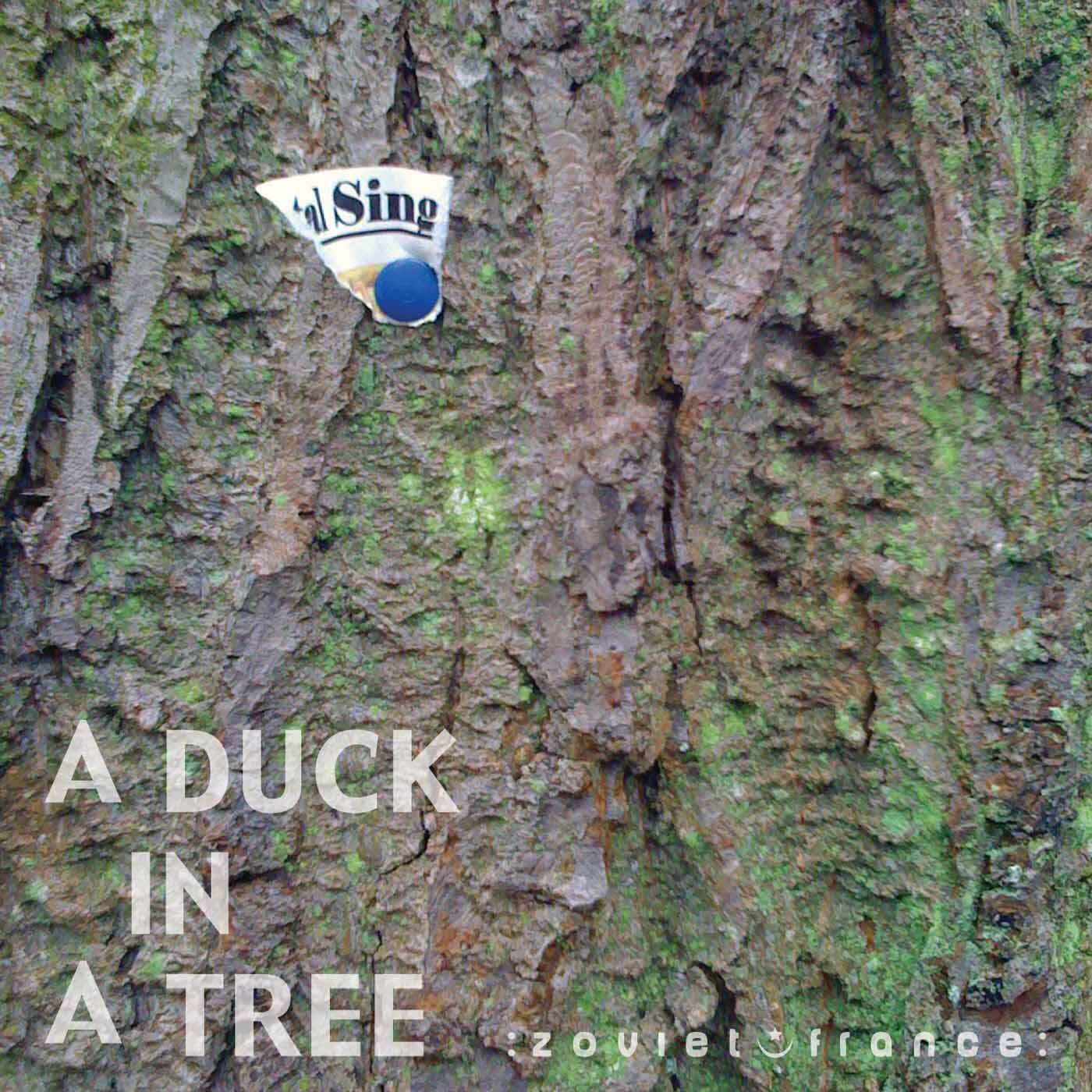 A-Duck-in-a-Tree-2013-03-09-_-The-Moment-Before-the-Word-layout-1400.jpg