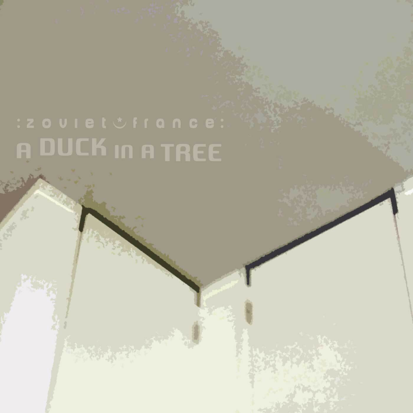 A-Duck-in-a-Tree-2014-08-30-_-13-Days-of