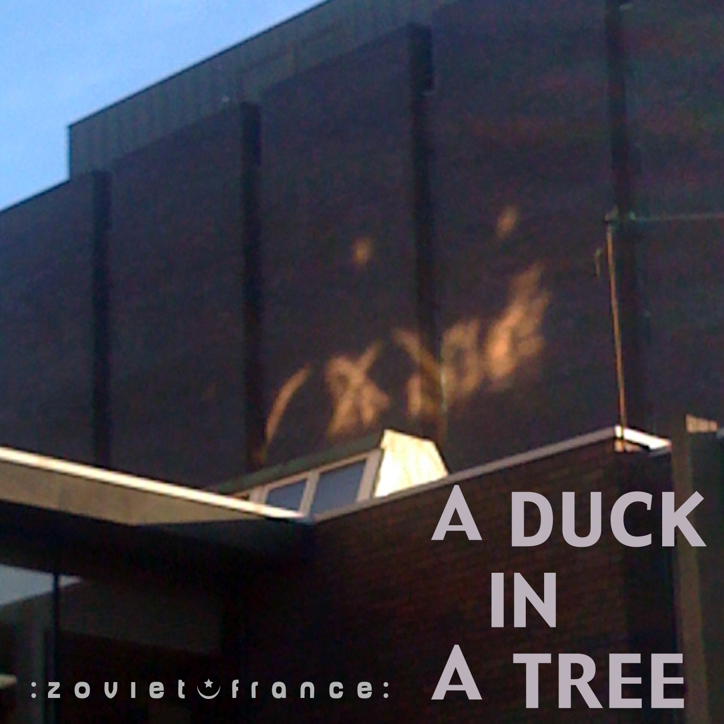 A-Duck-in-a-Tree-2012-11-24-_-Radiance-to-the-World-layout.jpg