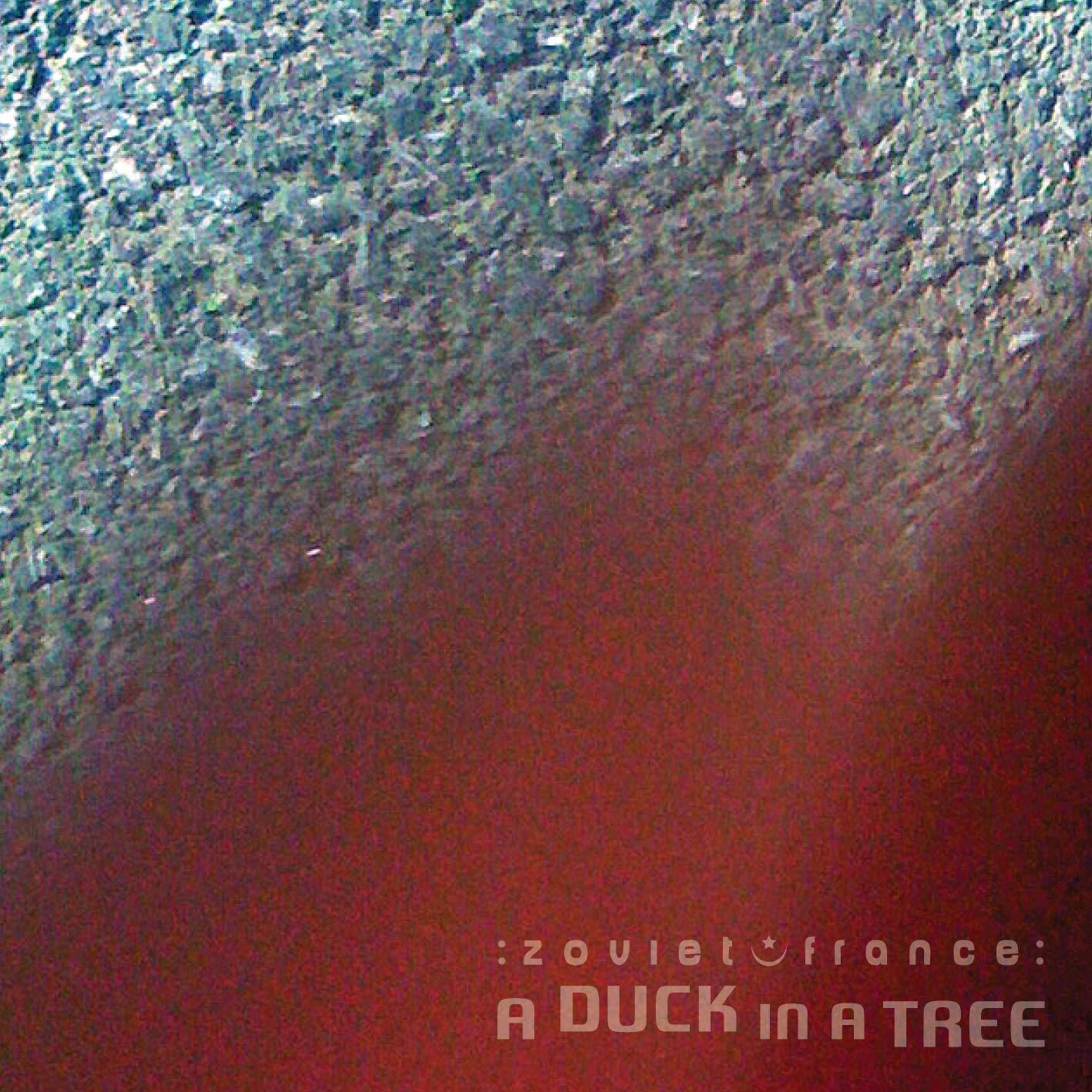 A-Duck-in-a-Tree-2015-03-21-_-Gravitatio