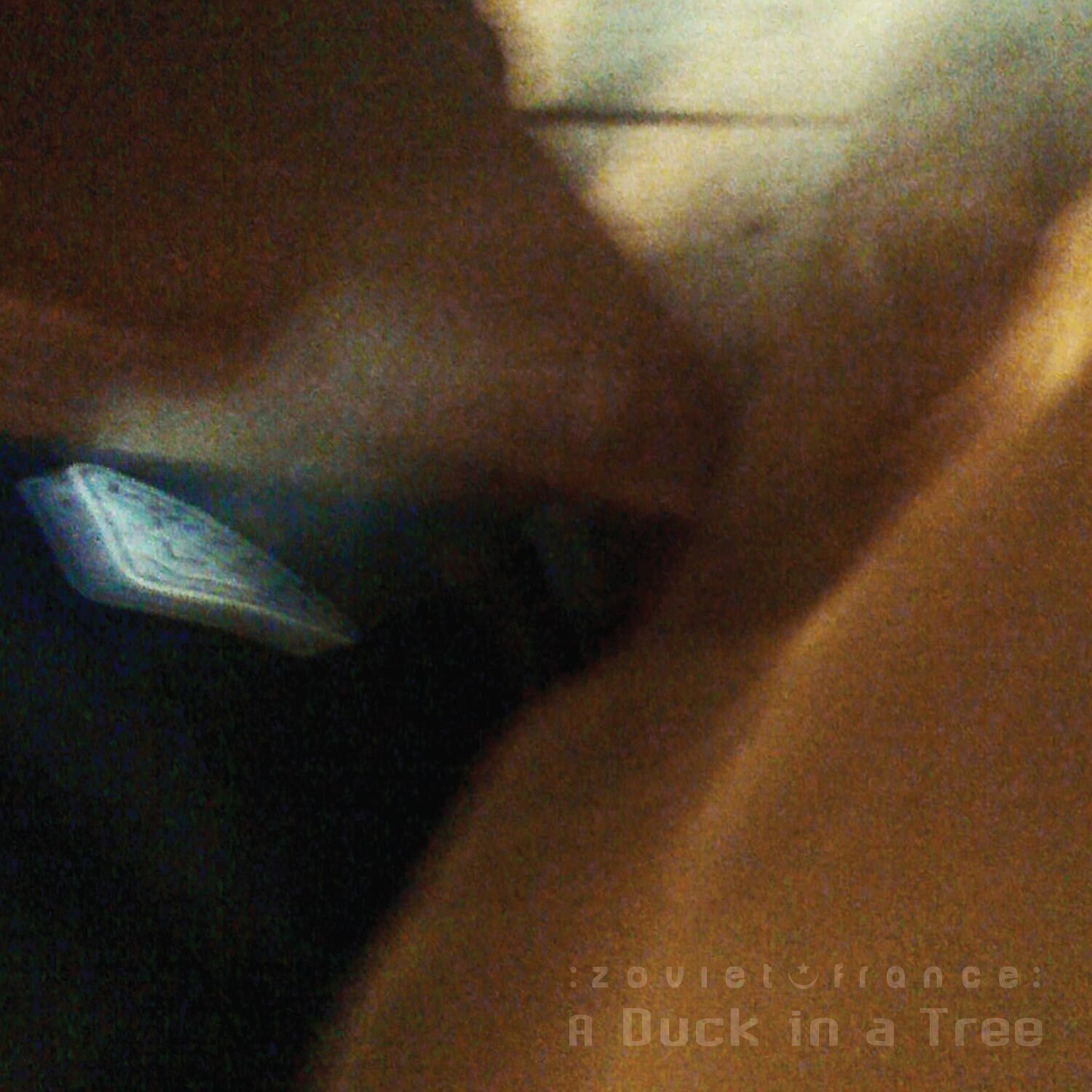 a-duck-in-a-tree-2019-04-20-_-the-outside-inside-cover-1500.jpg