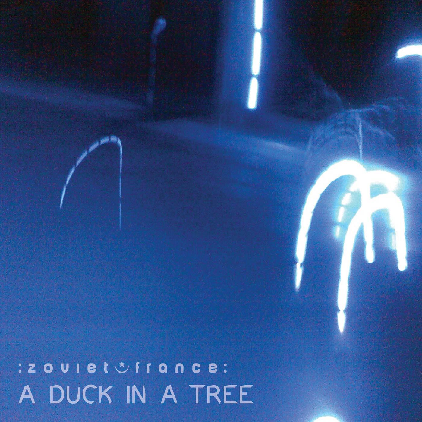 A-Duck-in-a-Tree-2014-03-22-_-They-Came-